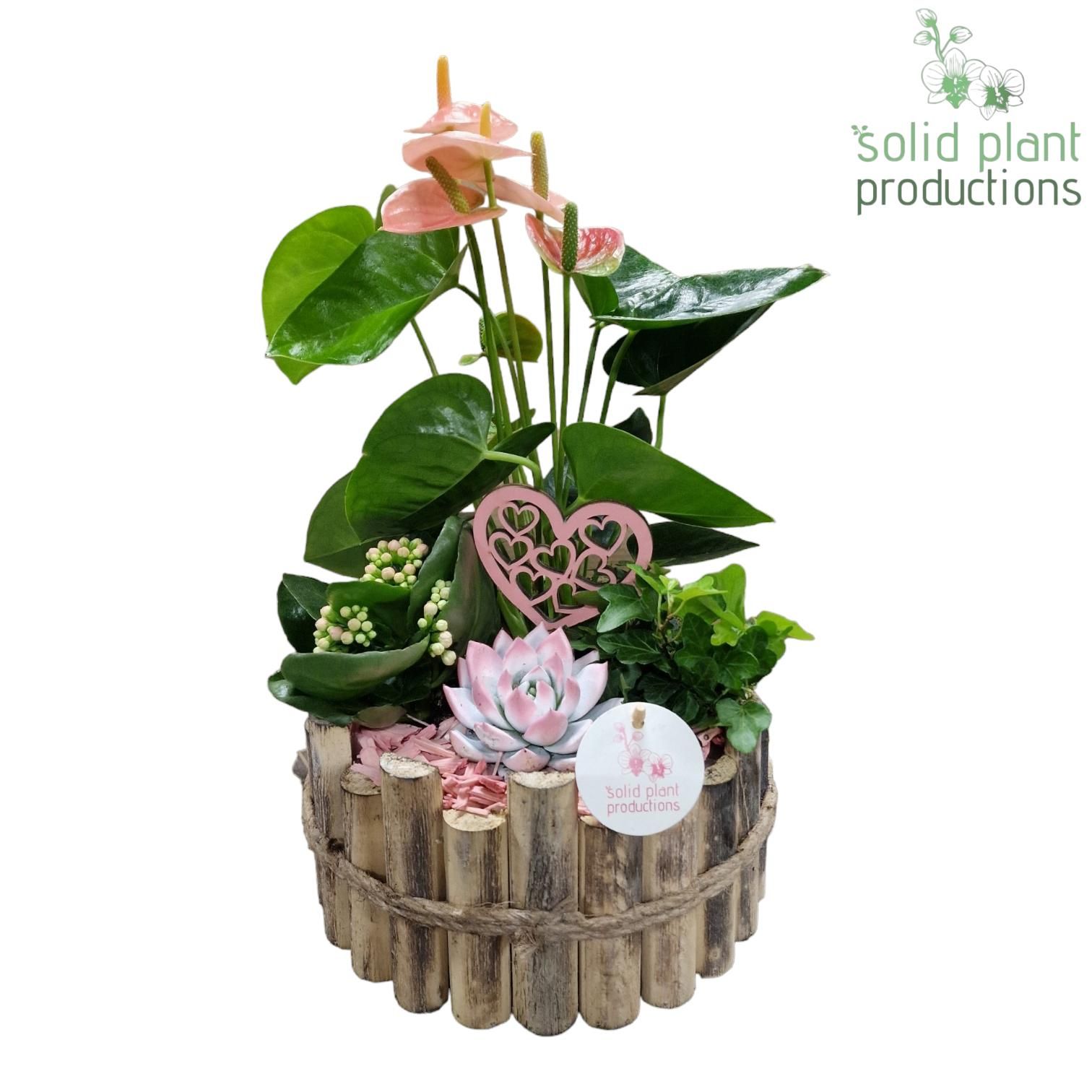 HVAE002 Milano Large Pink, D 23