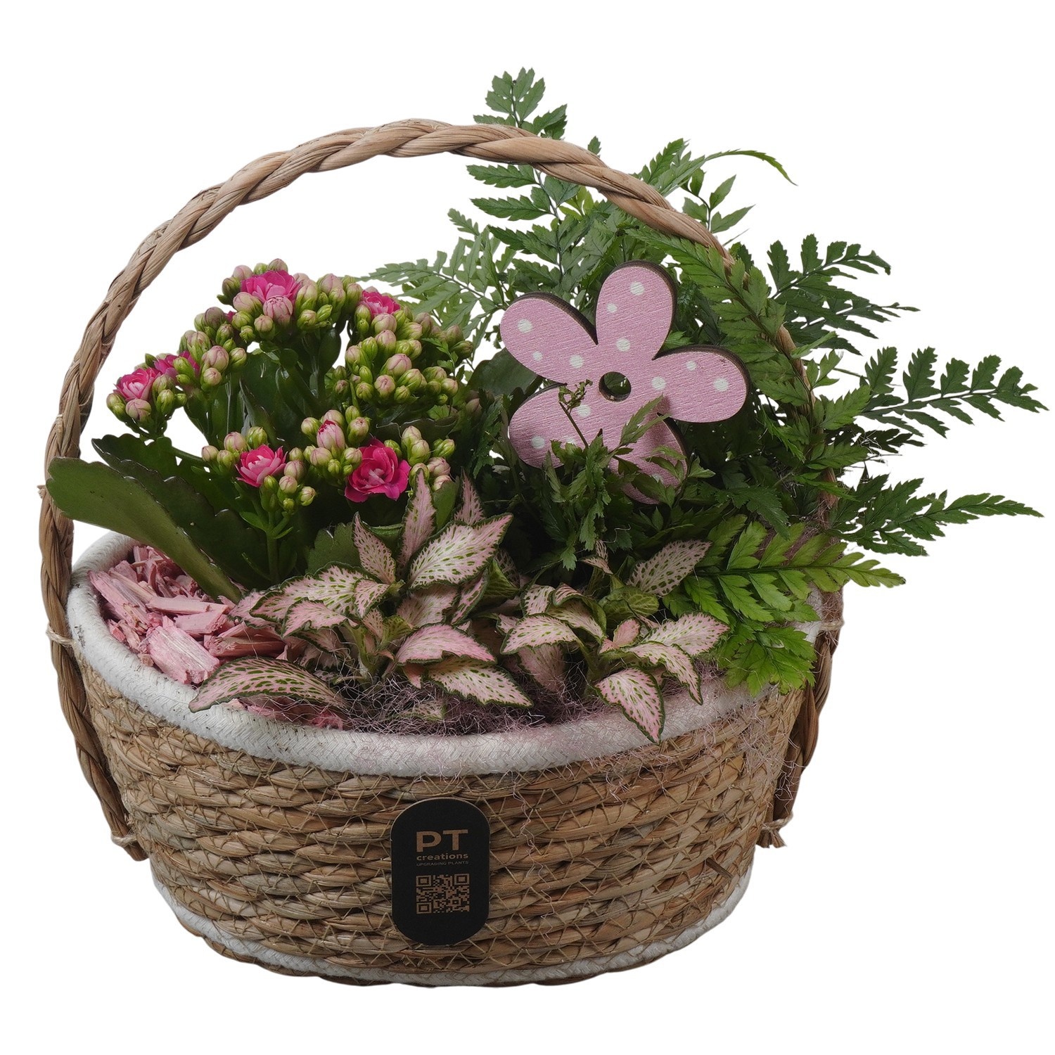 PTIB5248 Arrangement Indoor in rieten hengselmand, D 20