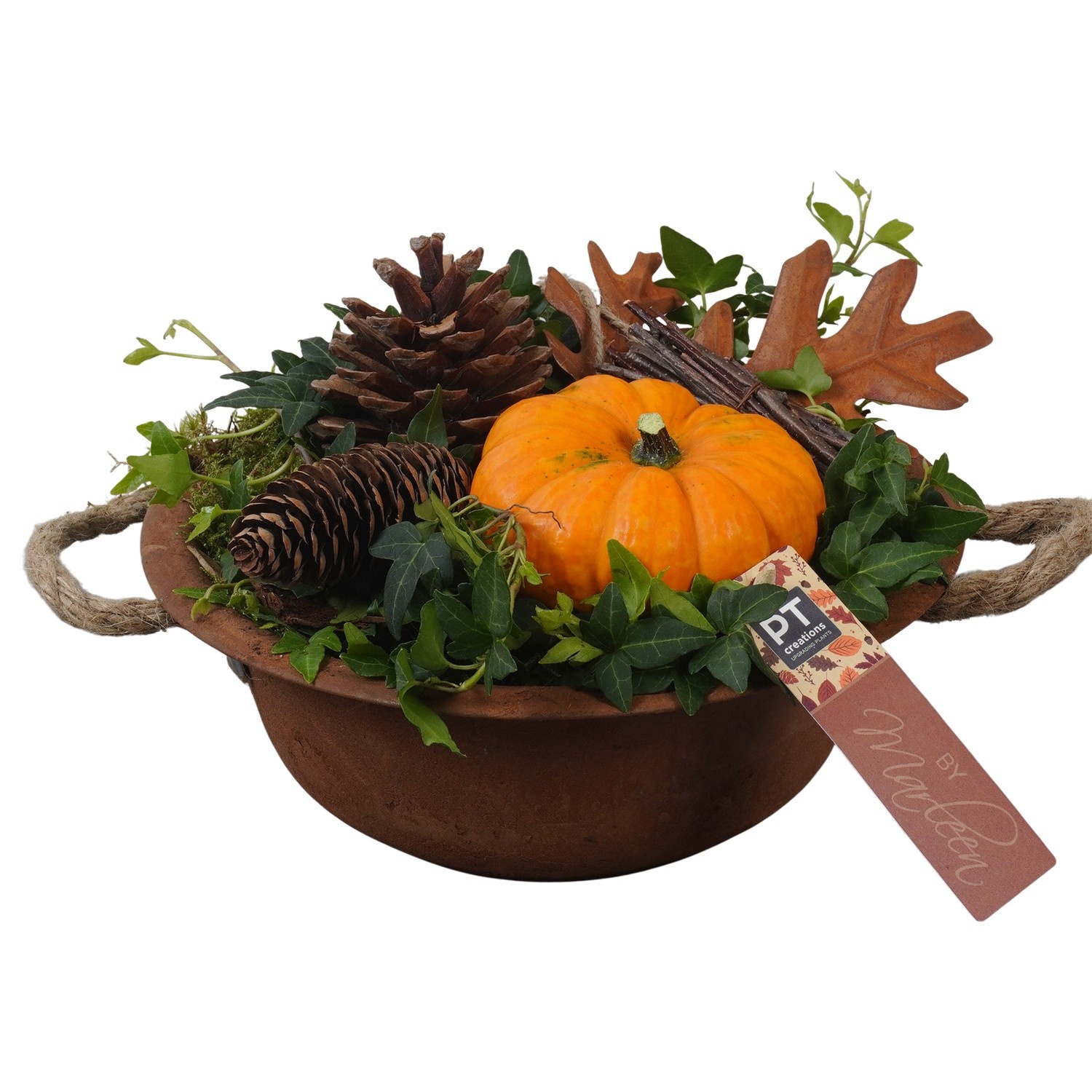 PTSF8201 Arrangement Kalebas hedera in metalen schaal, D 24 cm