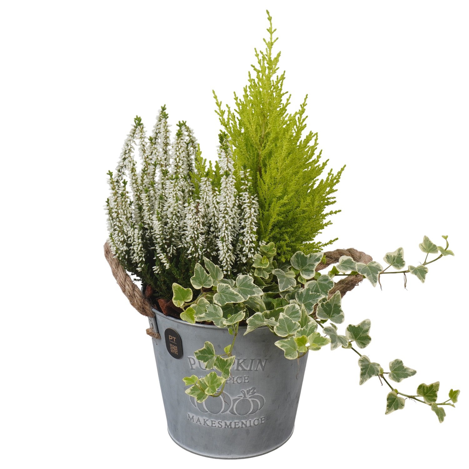 PTHO7553 Arrangement Autumn Outdoor in metalen pot, D 16