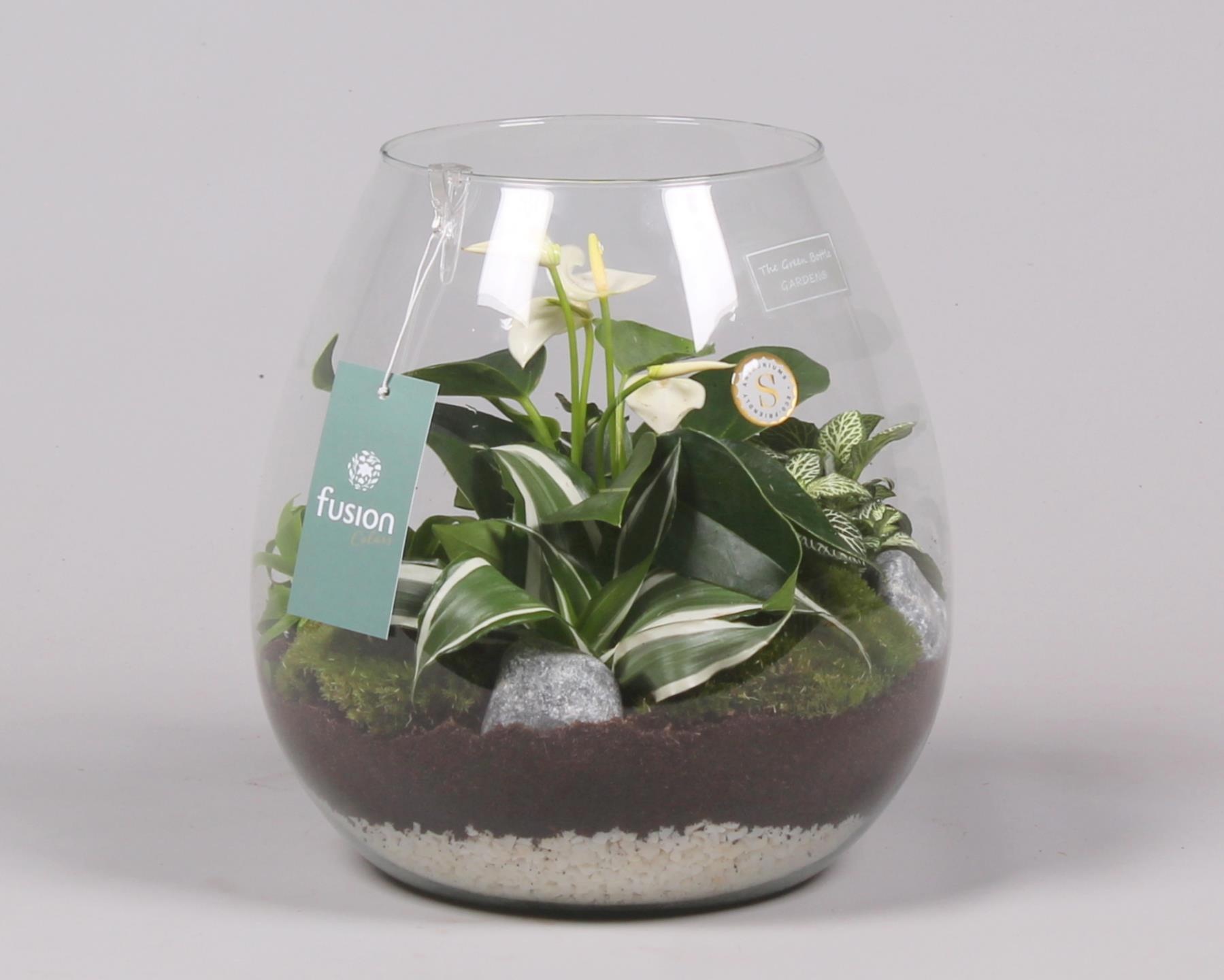 Green Bottle Abby Large met Arrrangement, D 24