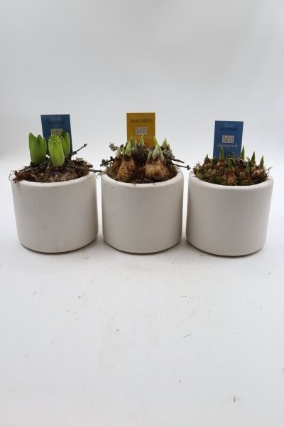 Bollen, keramiek S wit; mix, D 13