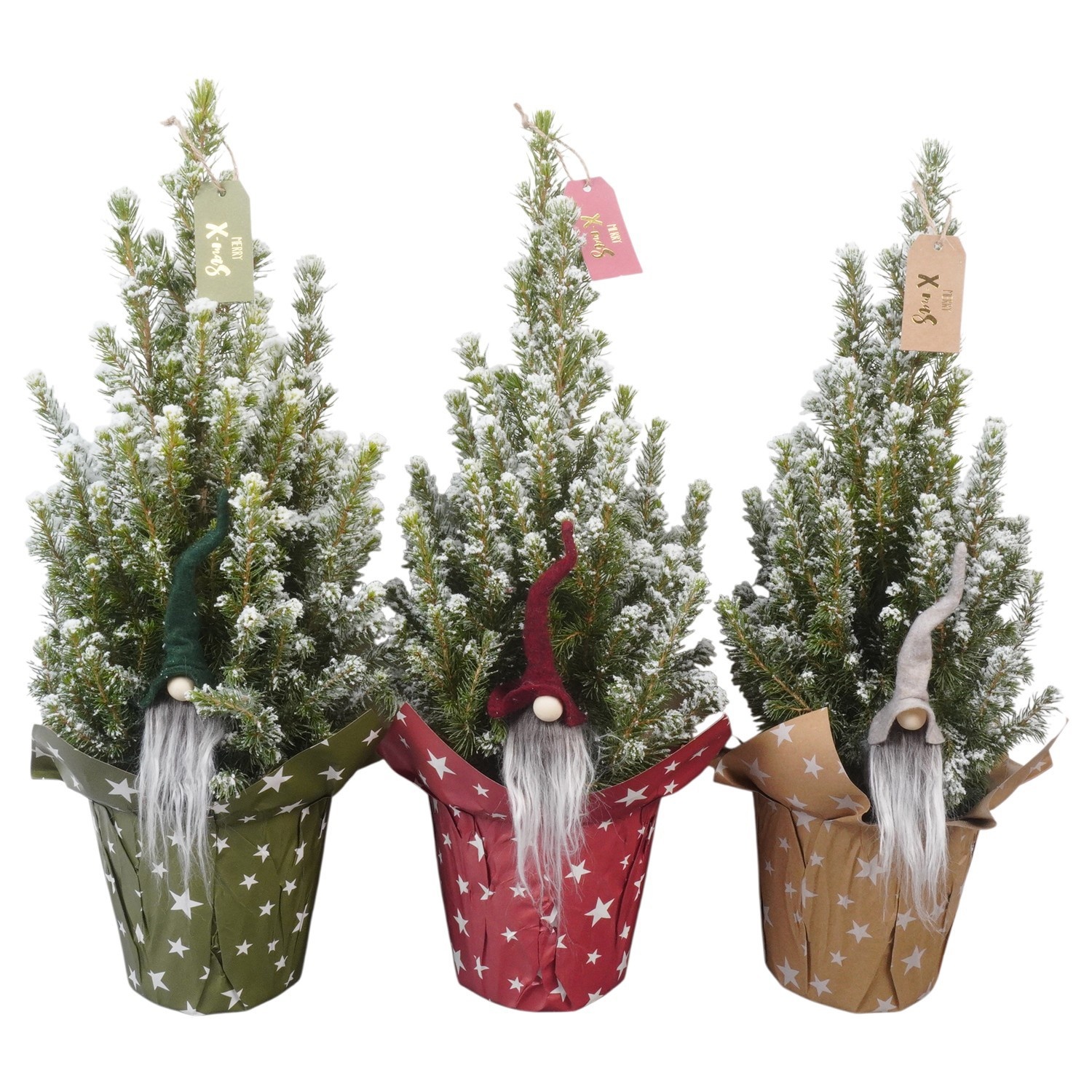 PTK26312 Conica Perfecta met sneeuw in papieren potcover mix met decoratie, D 13