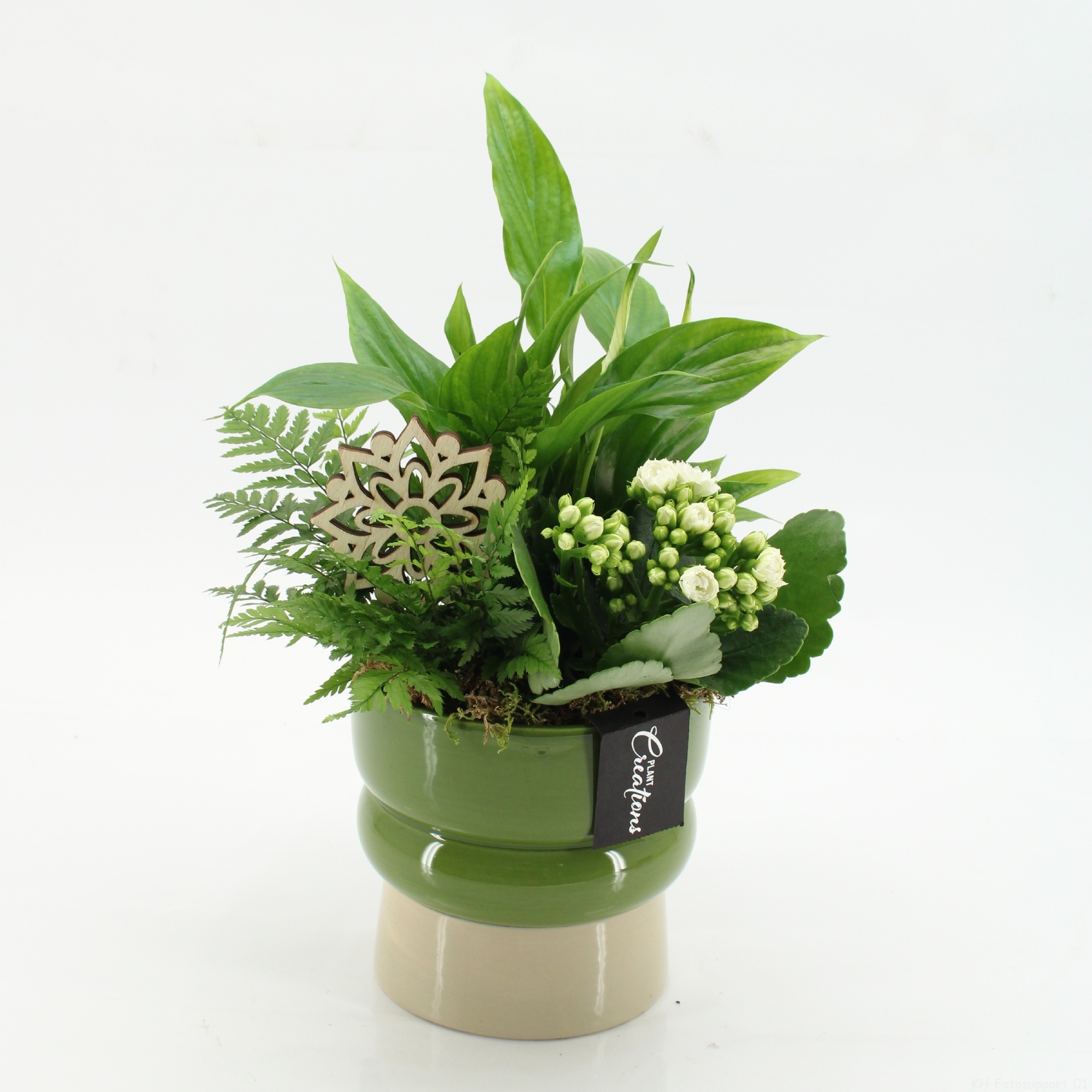 ESCR-2619W Essentials, D 14