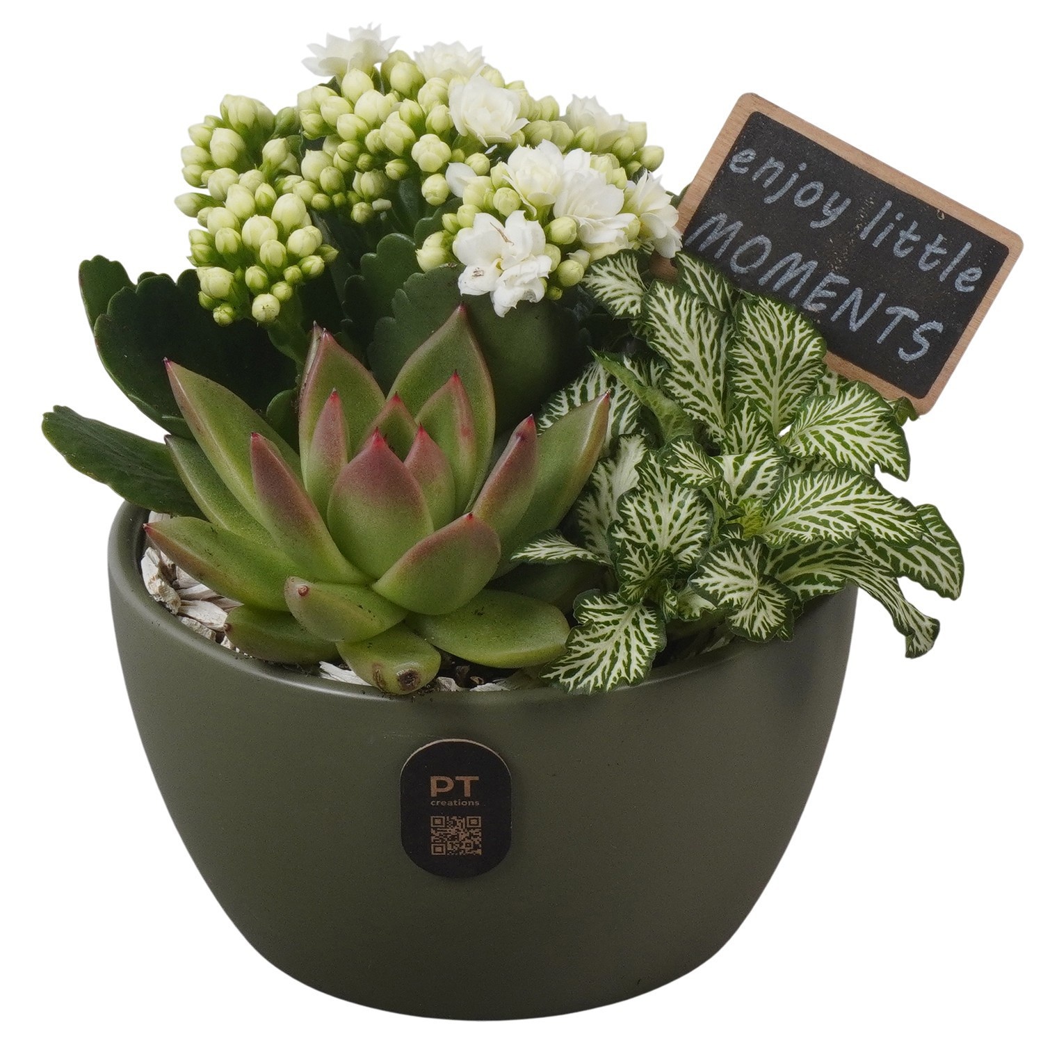 PTIB5141 Arrangement Indoor in keramiek schaal, D 14