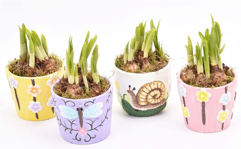 Keramiek sierpotjes 10cm, D 10