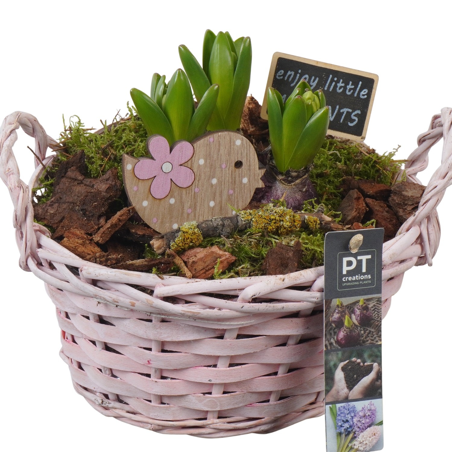 PTHC9170 Arrangement Hyacints in riet mand, D 20