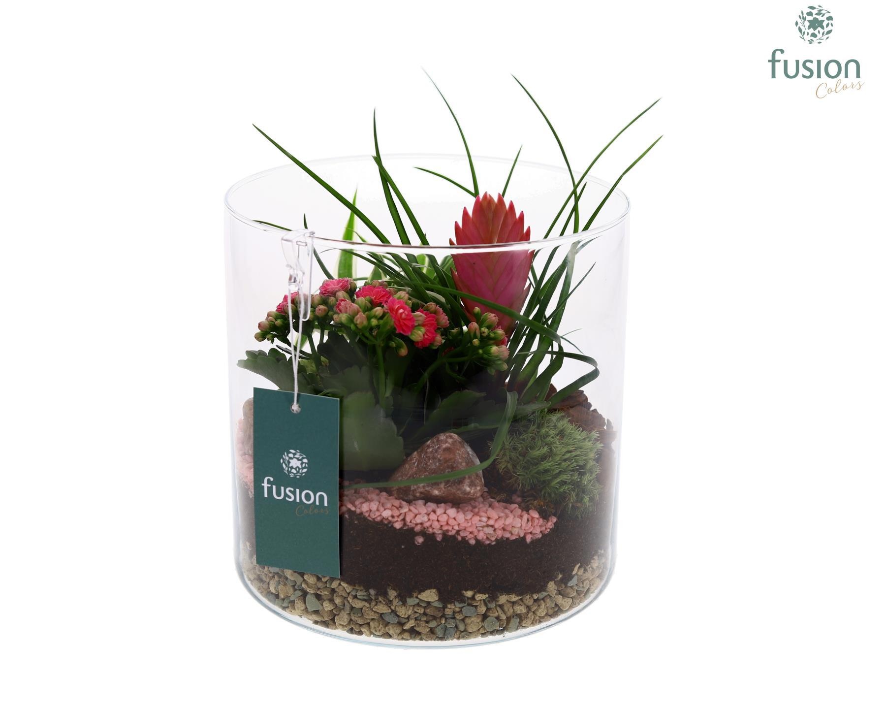 Glas Lucille met arrangement bloei, D 19