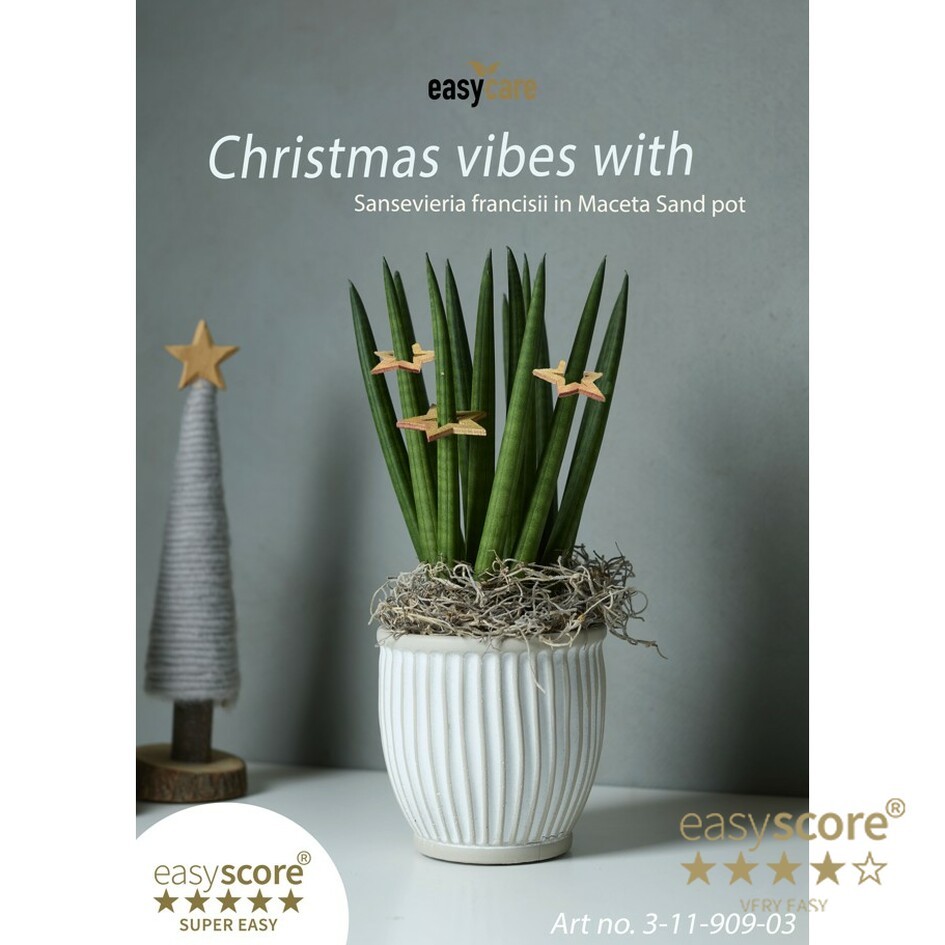 EasyCare Christmas Decoration, D 12