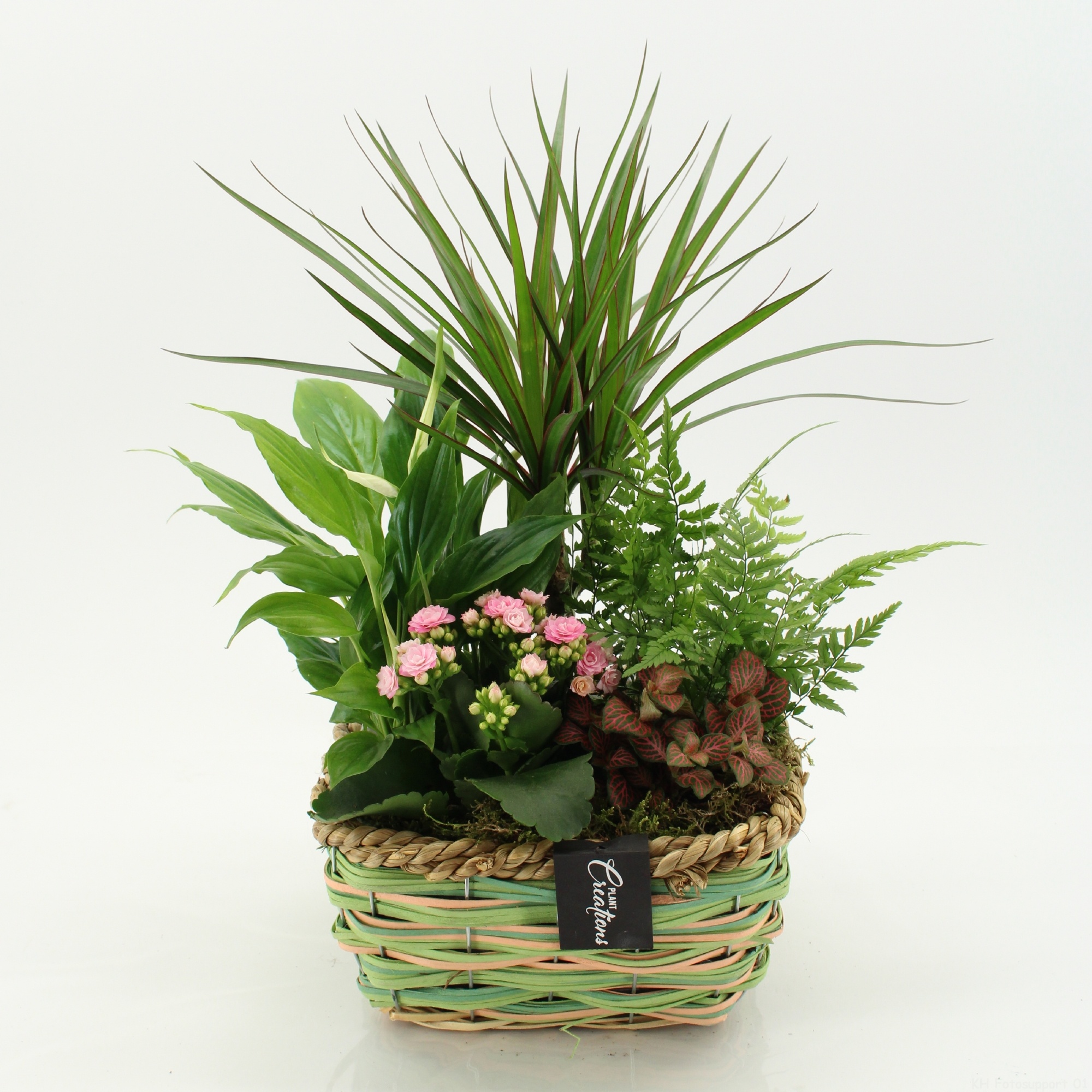 ESCR-2642RZ Essentials, D 23