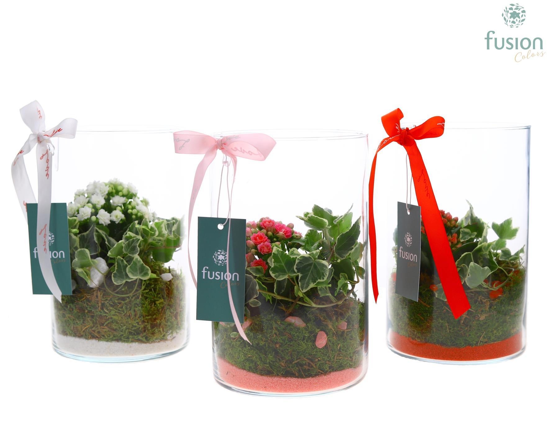 Glas Lucille Love met Arrangement, D 14