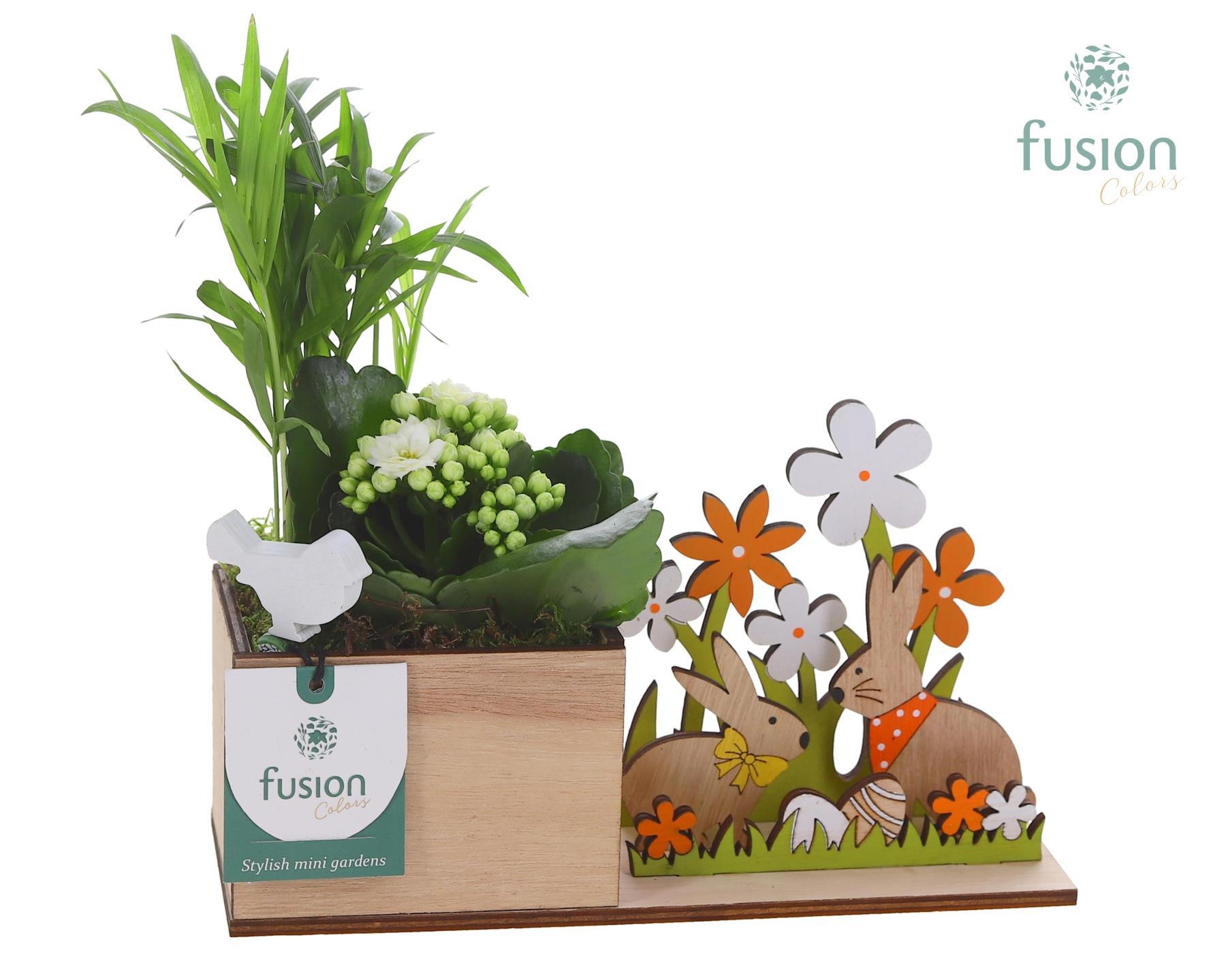 Pasen Haas hout met Arrangement, D 23