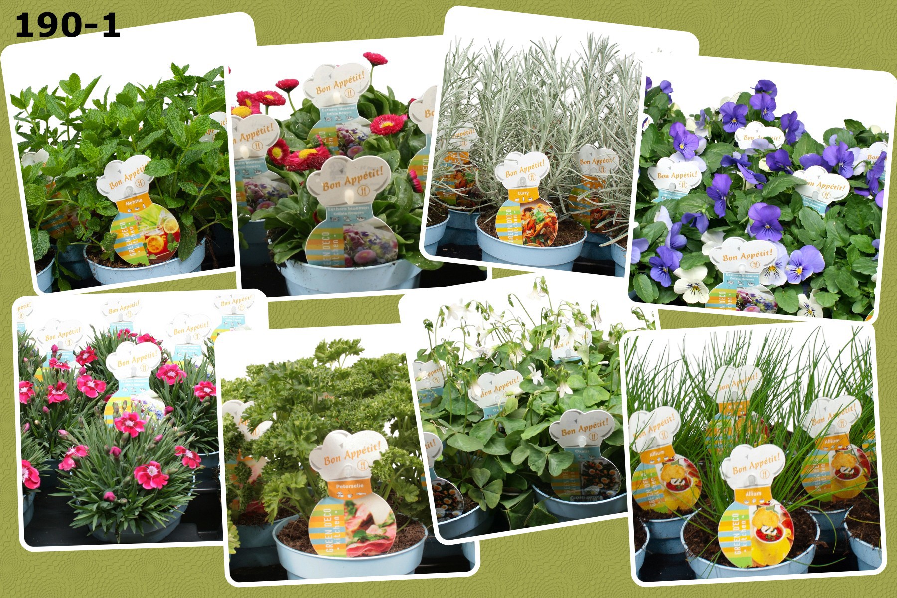 Eetbare Bloemen en Kruiden Mix 12 cm, mix laag met 6 soorten, D 12