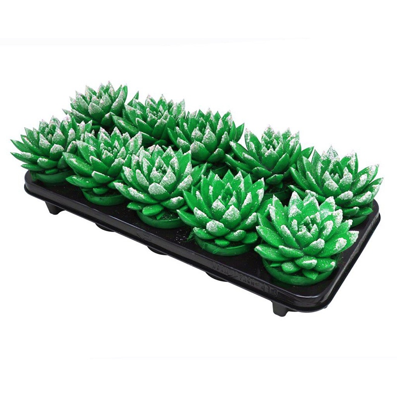 Miranda coloured green + snow, D 10,5