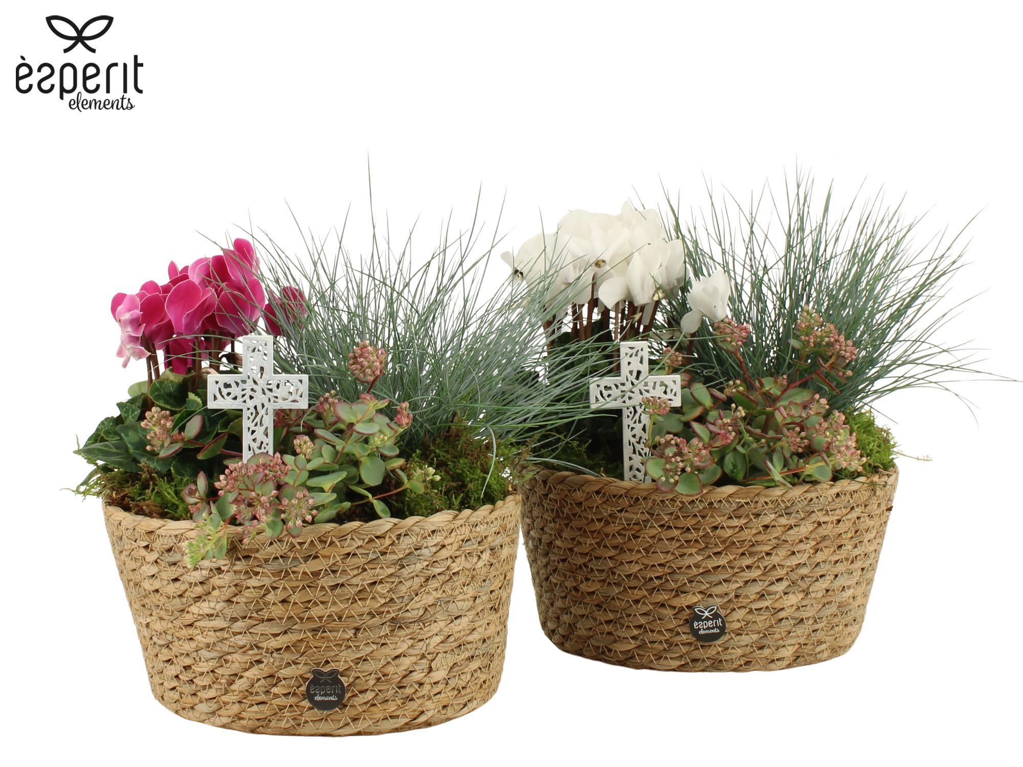 41735: All Saints arrangement, D 22