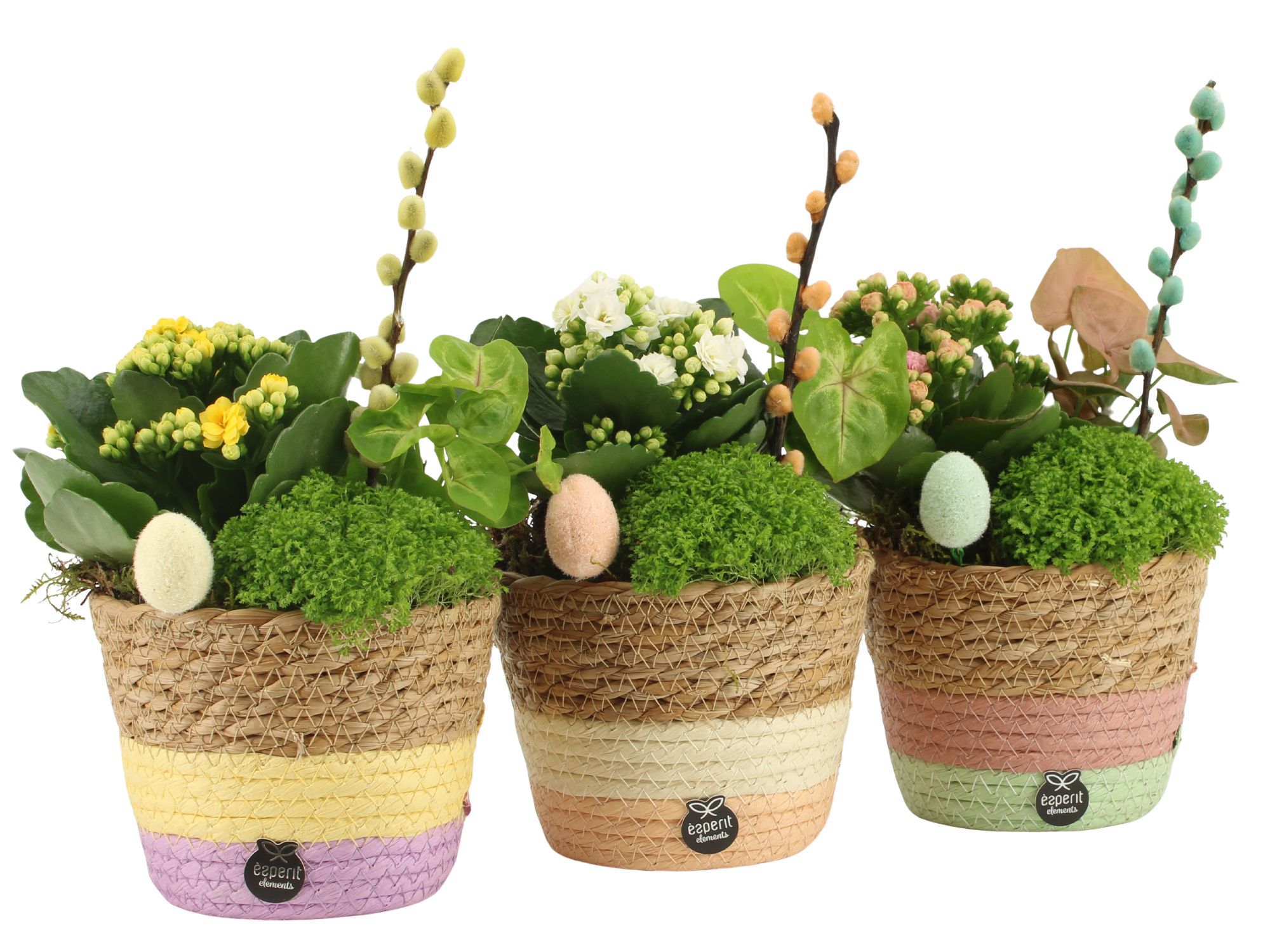 70760: Easter arrangement, D 14