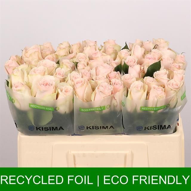 Роза од. Хай Энд Брайдал 50, шт.