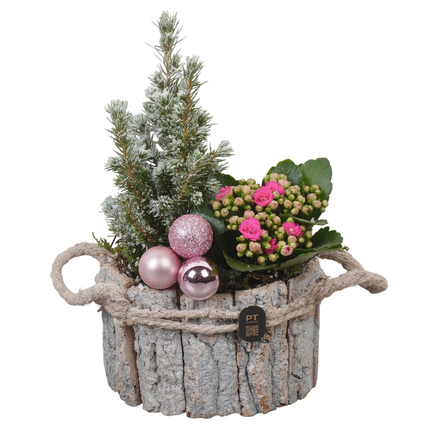 PTCHP8426 Arrangement Christmas Pink in houten bak, D 17