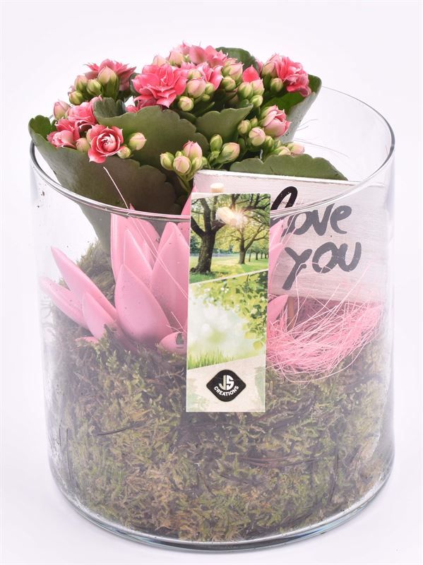 Glas cilinder 15cm/H 15cm, D 15