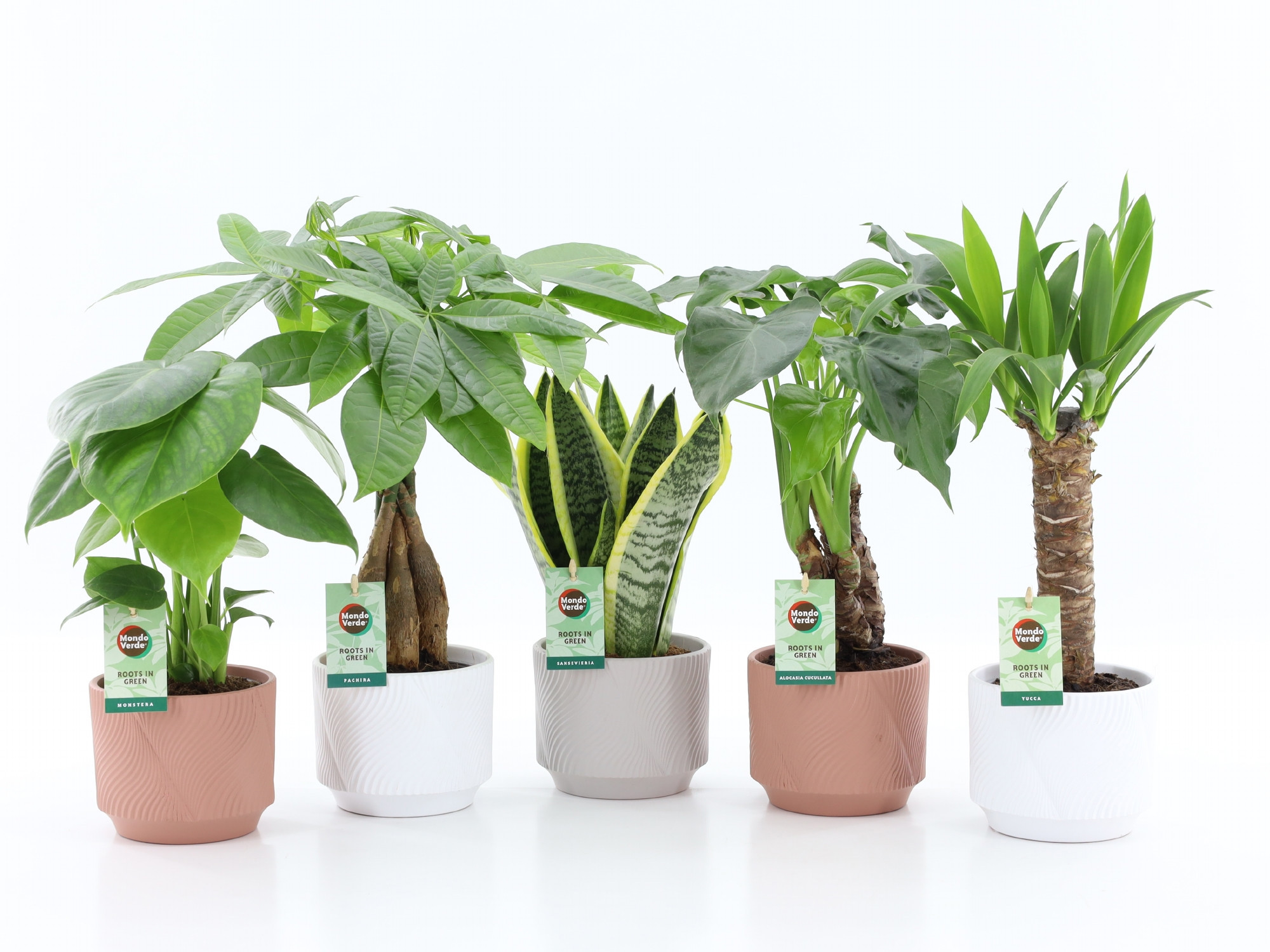 Tropic Mix in Rodena keramiek, D 13