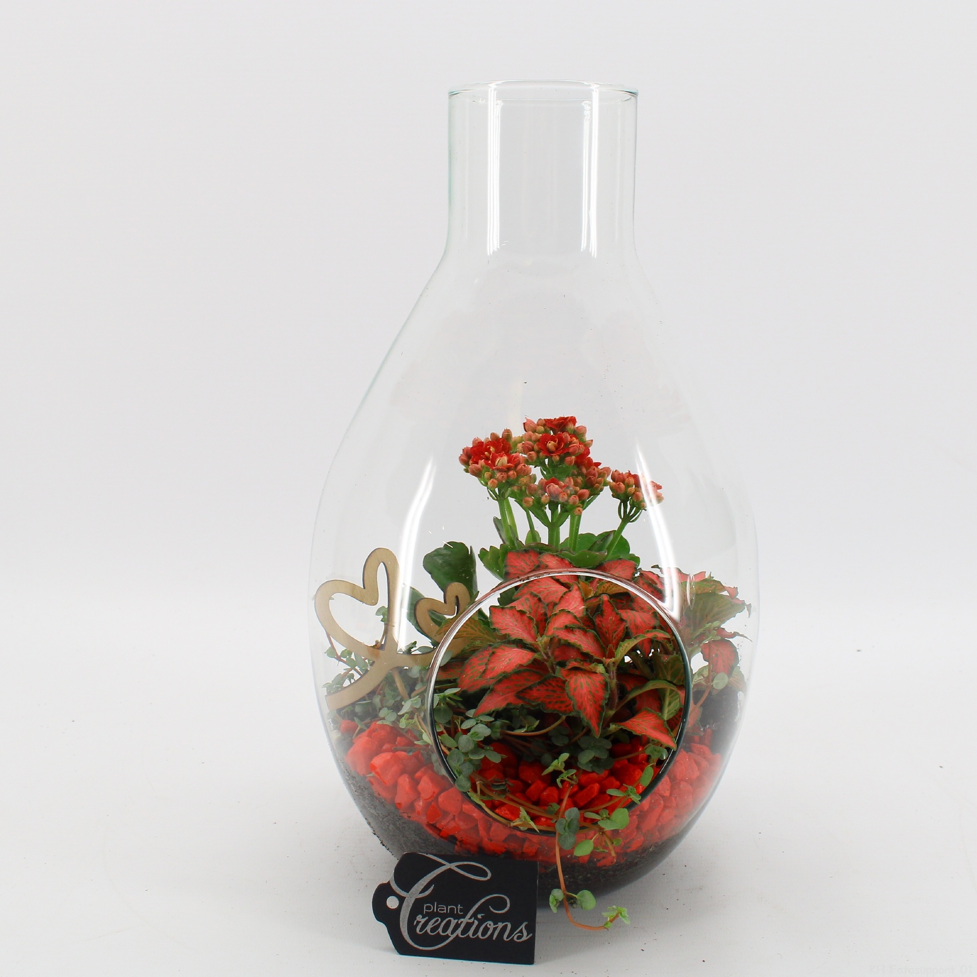 FDRM-2605R Romantic Fundamentals, D 17