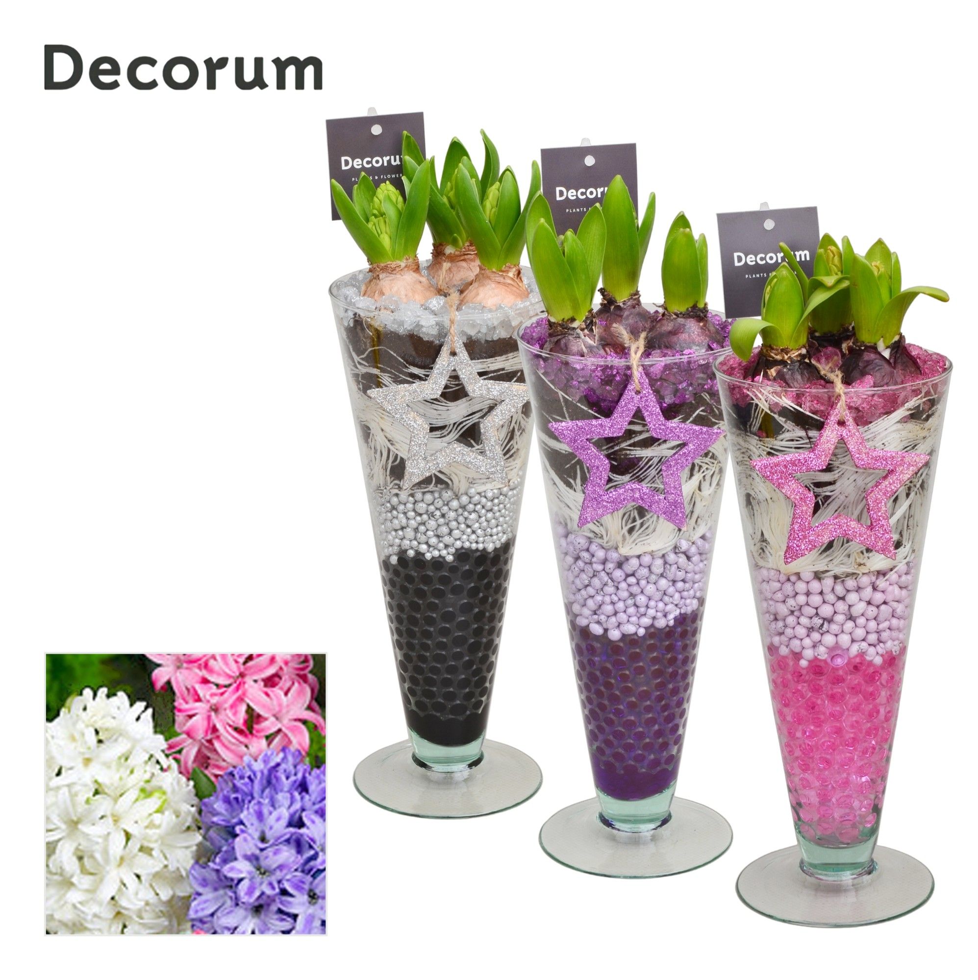 Hyacint Lincoln HL15012 [LOVELY COLORS], D 12