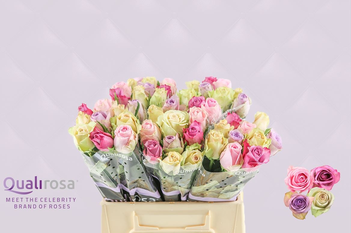 Роза од. Микс в пачке 40, шт. Роза од. Микс в пачке 40, шт.