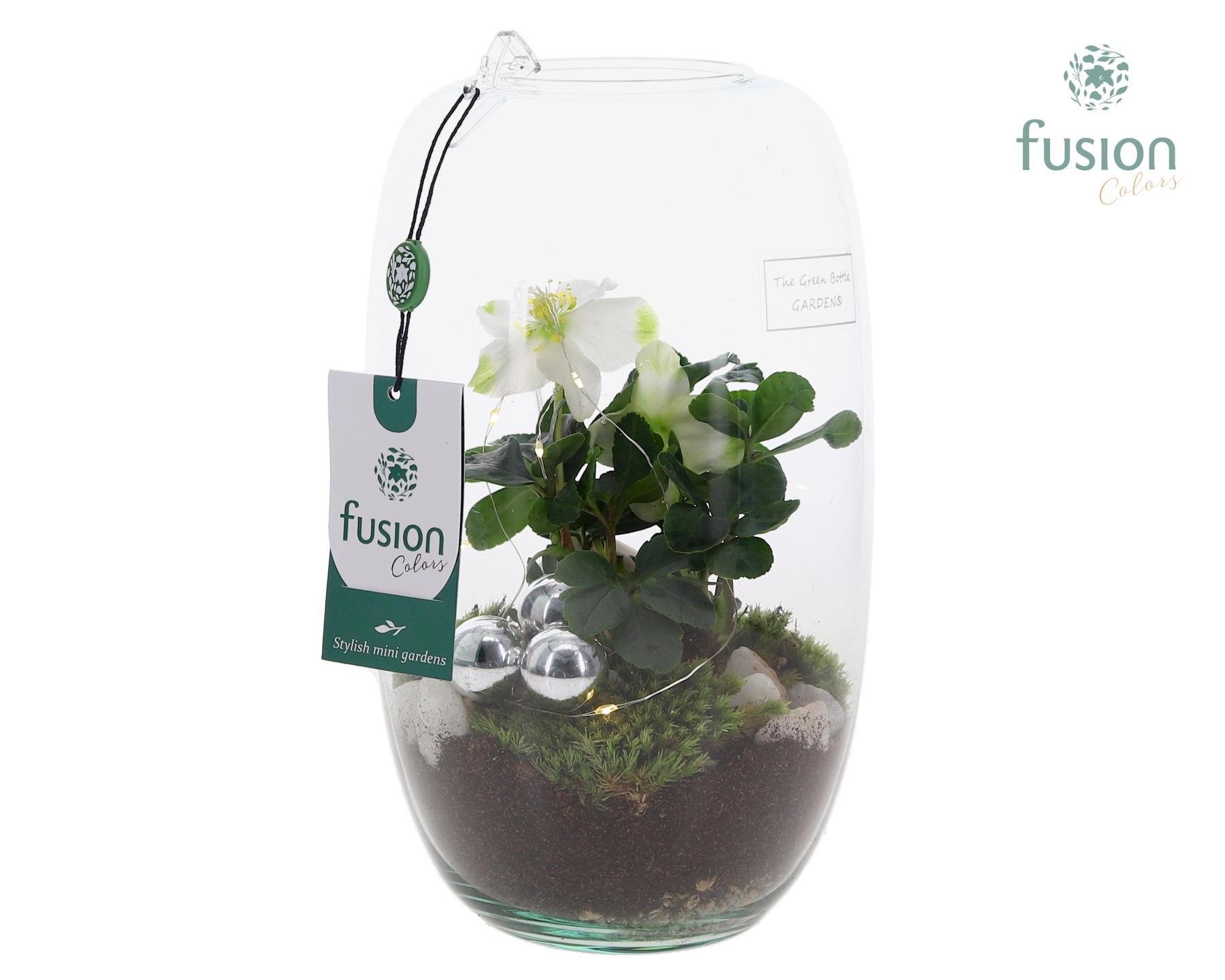 Green Bottle Isabella Medium Kerst met Helleborus, D 15 cm Green Bottle Isabella Medium Kerst met Helleborus, D 15 cm