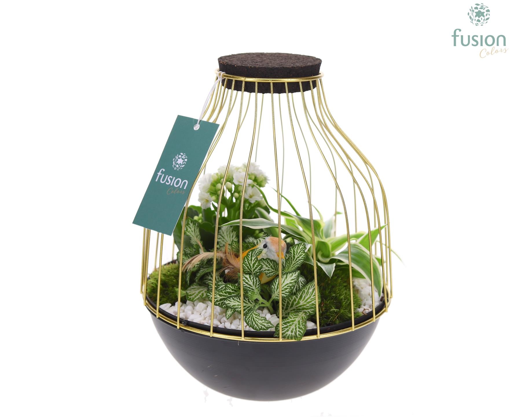 Vogelkooi metaal goudzwart Medium met arrangement, D 19 cm Vogelkooi metaal goudzwart Medium met arrangement, D 19 cm