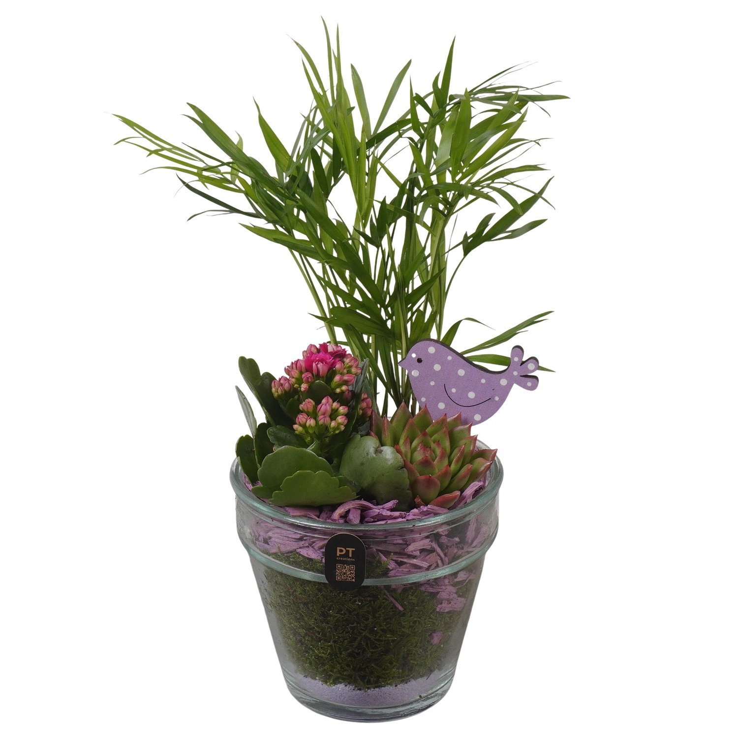 PTIG2681 Arrangement Indoor in glazen vaas, D 13