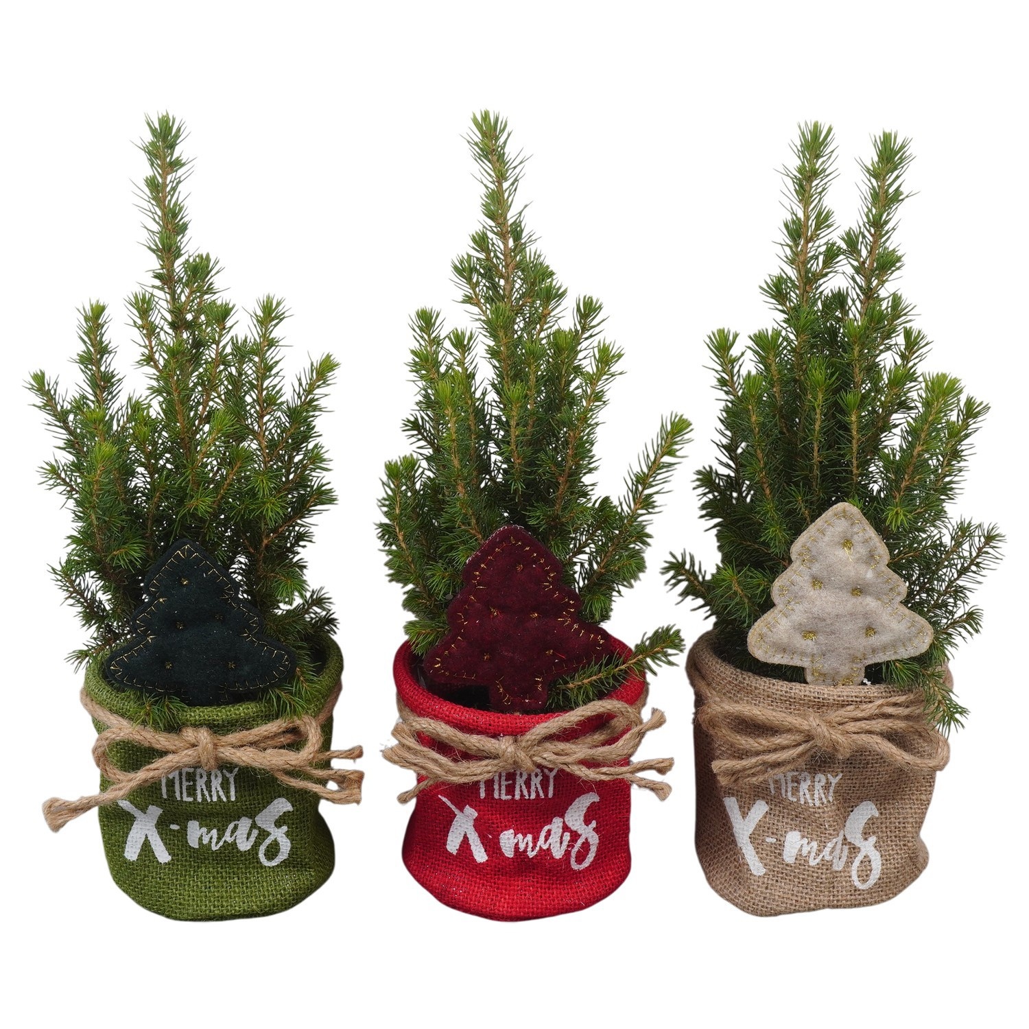 PTK26147 Conica Perfecta in jute mix met decoratie, D 11