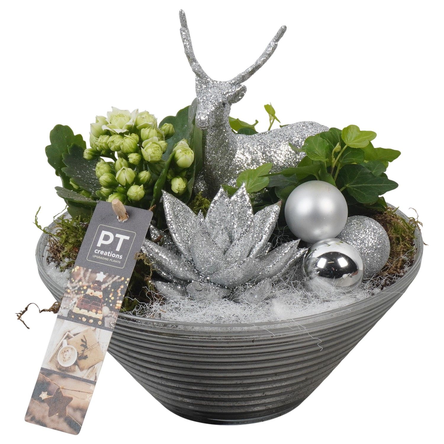 PTCHW4348 Arrangement Christmas White in glas schaal, D 19 cm