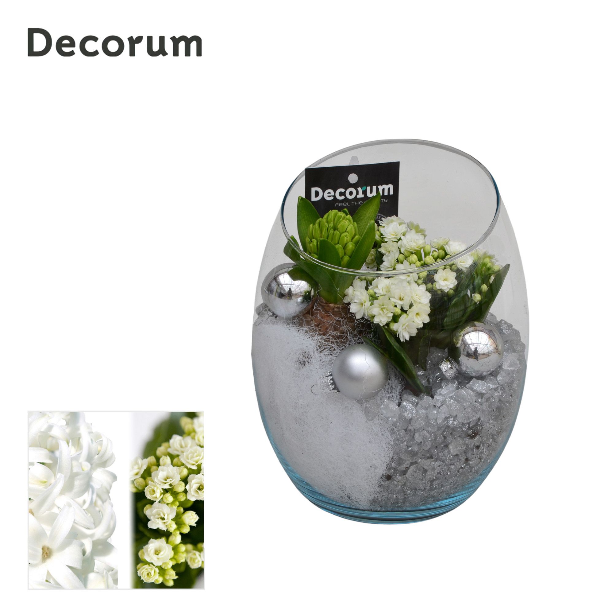 Calandiva & Hyacint Oblique HL21172WP [BLACK & WHITE], D 15