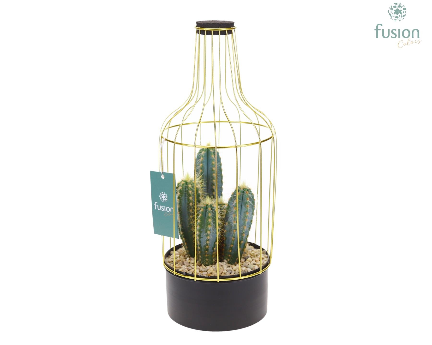 Metaal fles goudzwart Medium met Cactus, D 15