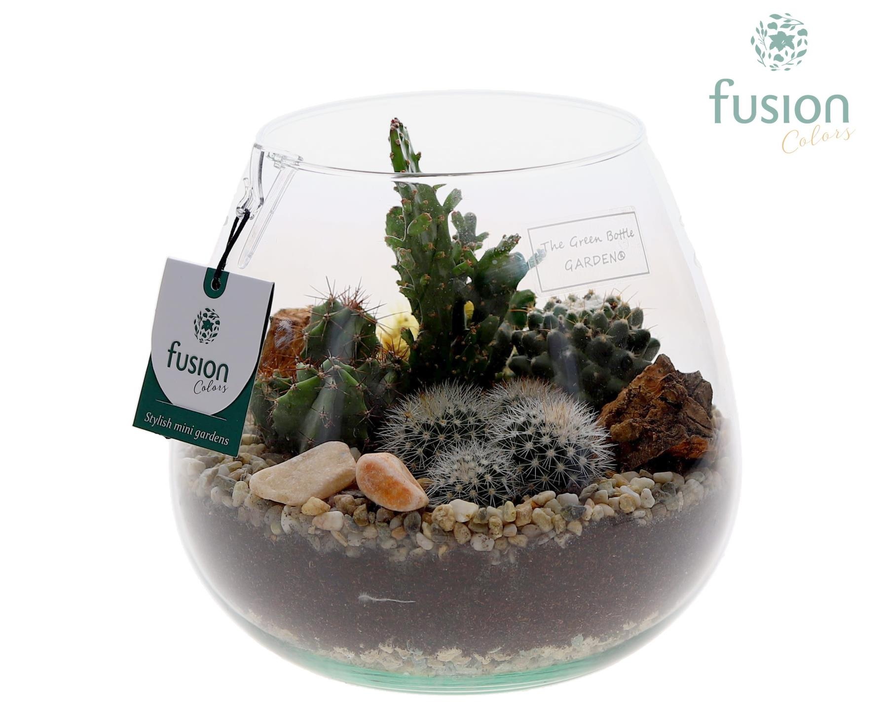 Green Bottle Abby Medium met Cactussen, D 19