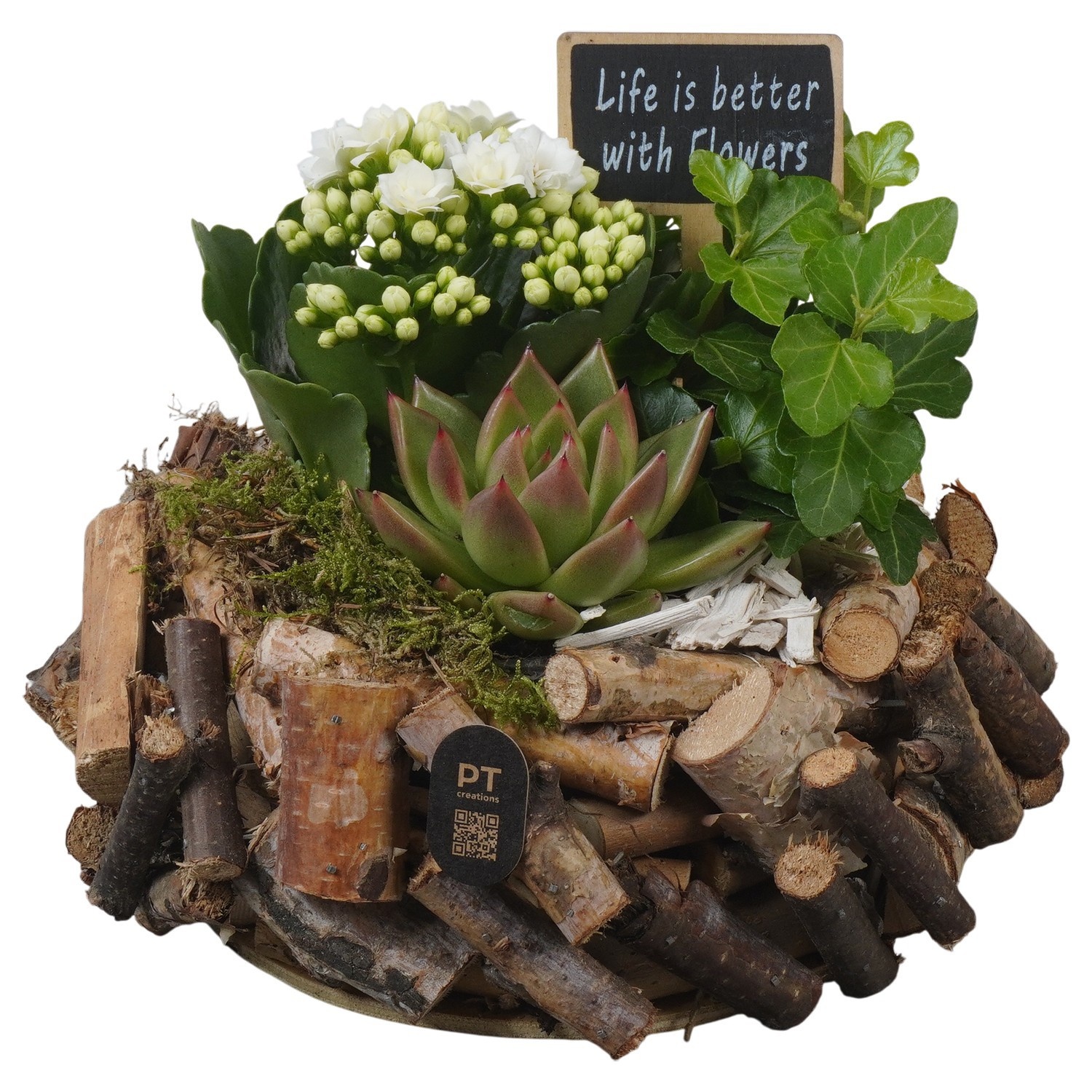 PTIB5252 Arrangement Indoor in houten bak, D 20