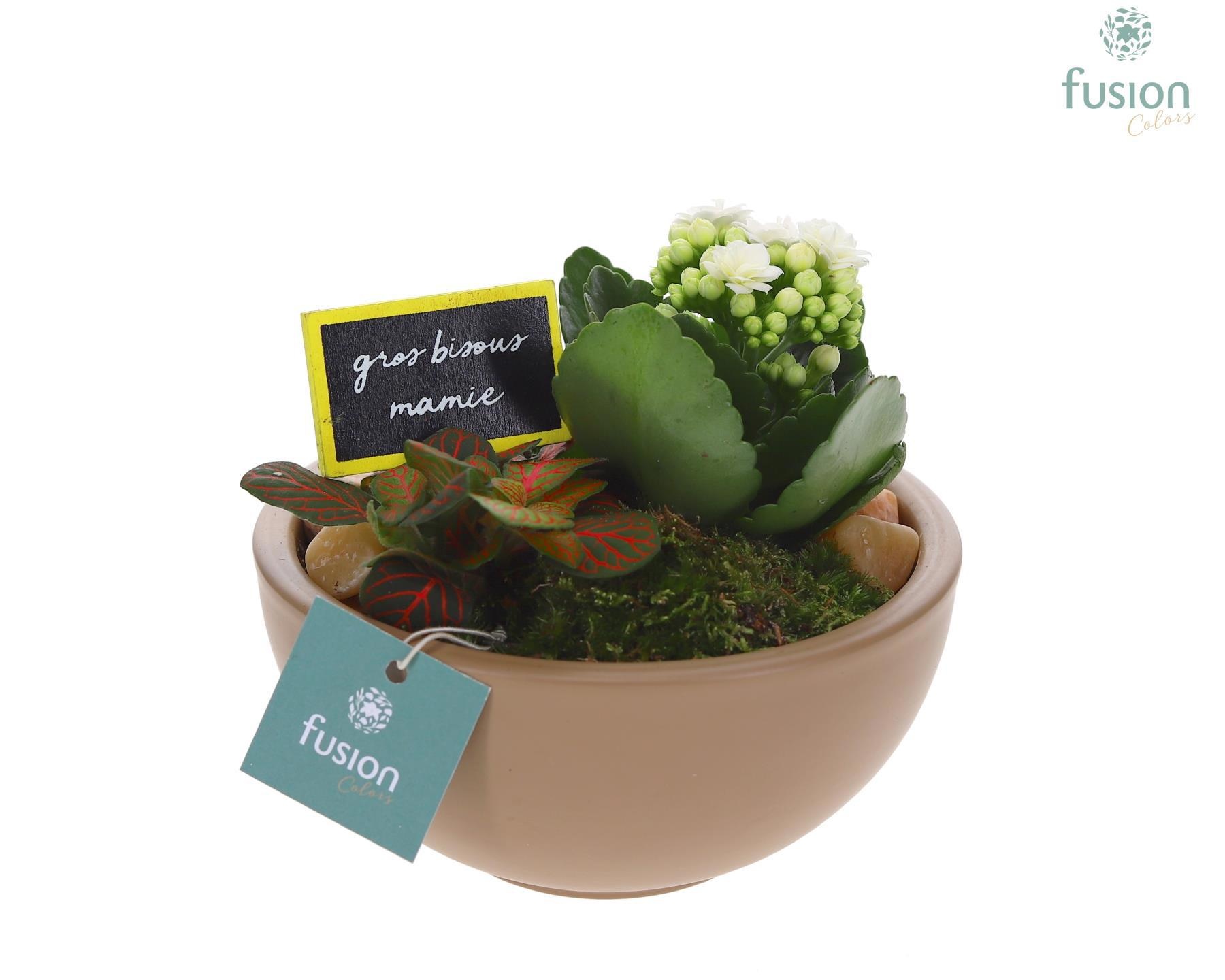 Schaal keramiek Moon Small beige Grootmoederdag met Arrangement, D 15