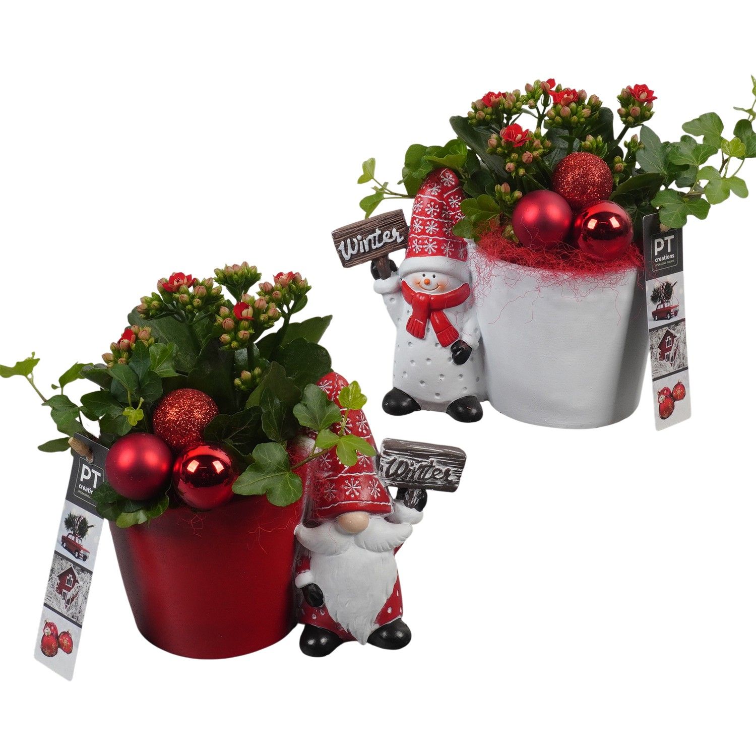 PTCHR7281 Arrangement Christmas Red in keramiek pot, D 14 cm