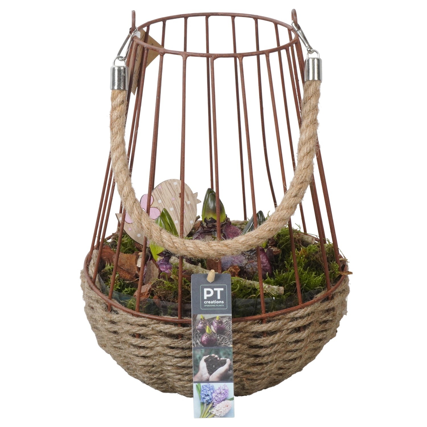 PTHC9174 Arrangement Hyacints in metaal mand met touw, D 22