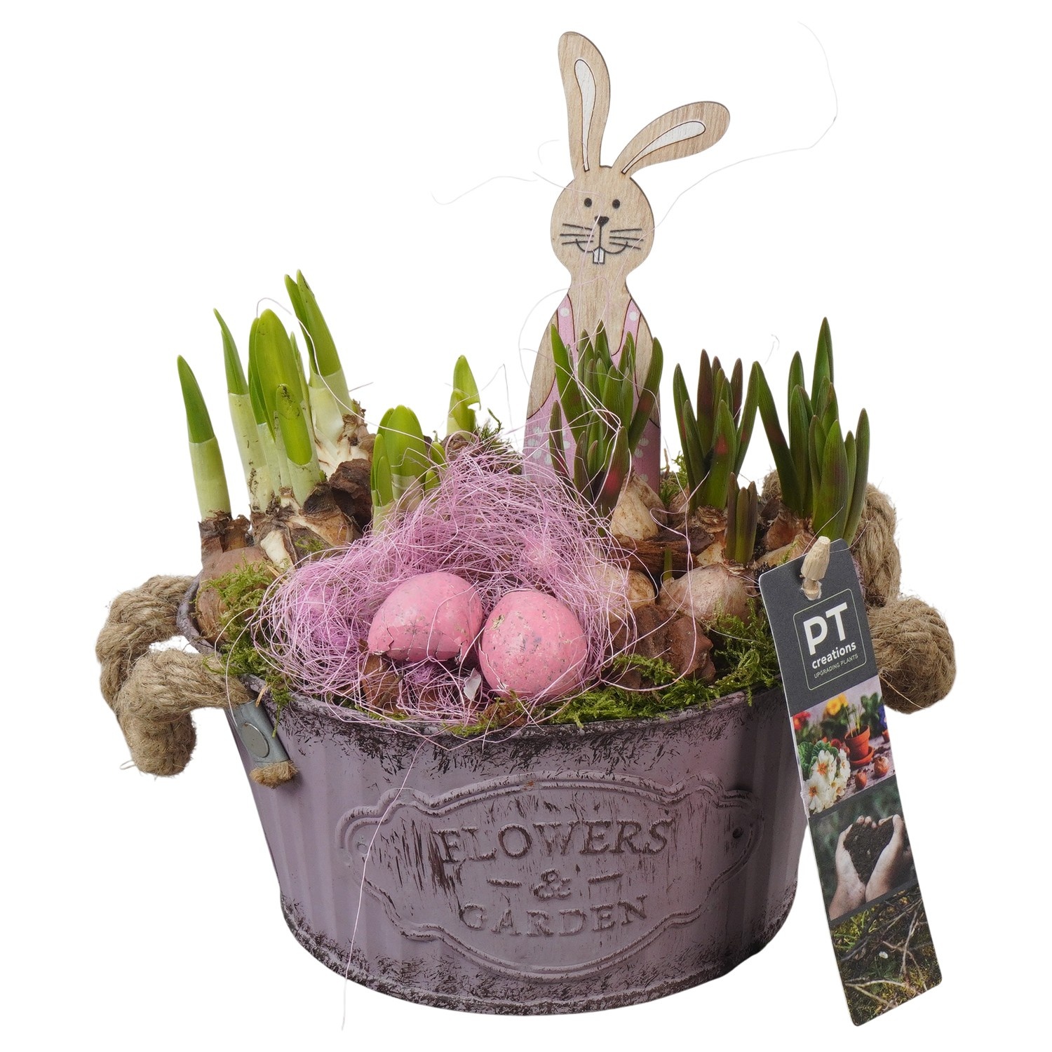 PTBMP5656 Arrangement Easter Bulbs Mix in zink pot, D 16