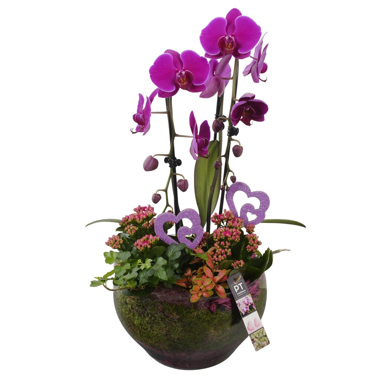 PTVMG4999 Arrangement Valentines-Mothersday in glas schaal, D 23