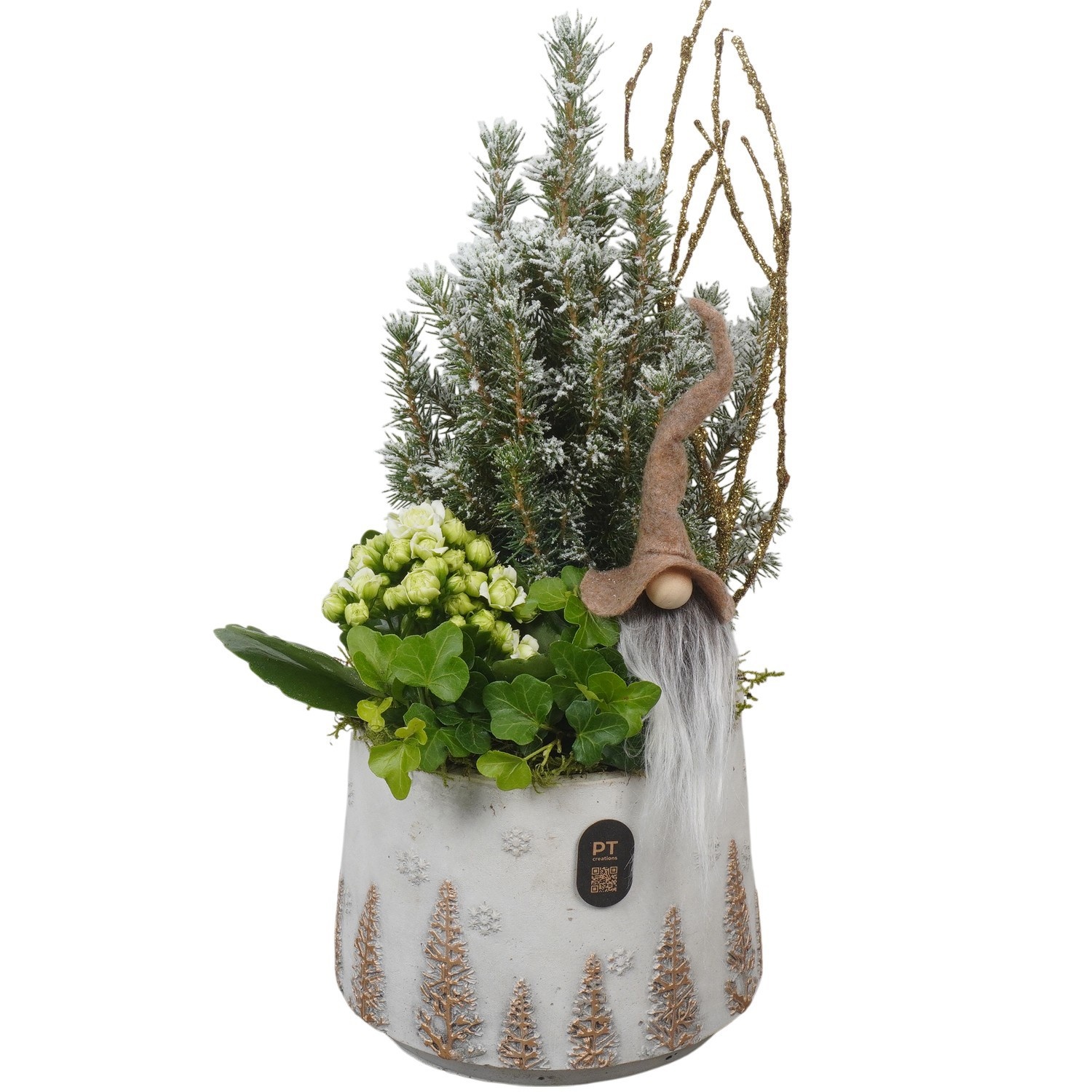 PTCHG4659 Arrangement Christmas Gold in beton pot, D 15