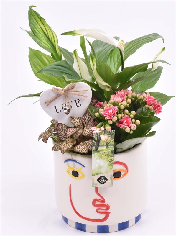 Keramiek face pot 14cm, D 14