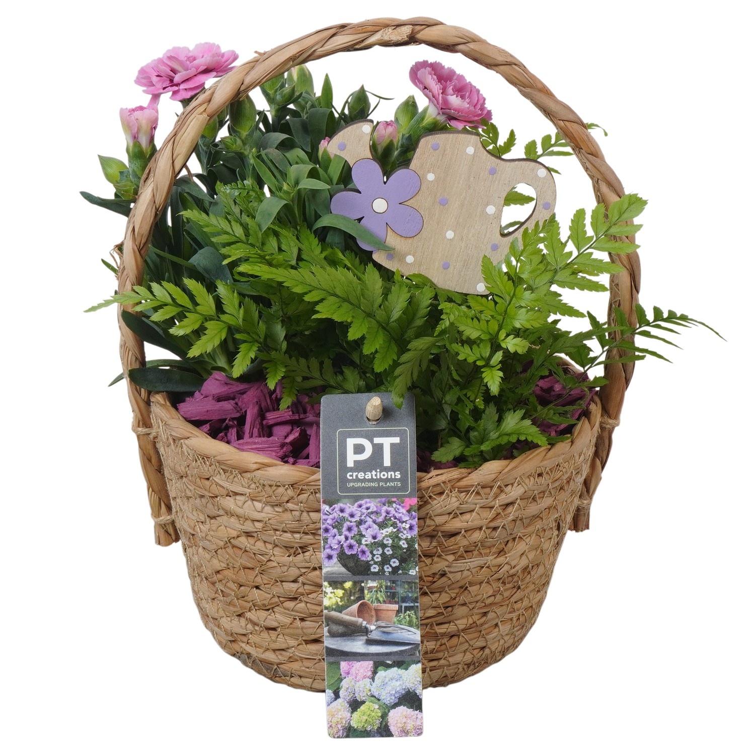PTPP6968 Arrangement Patio in rieten mand, D 15