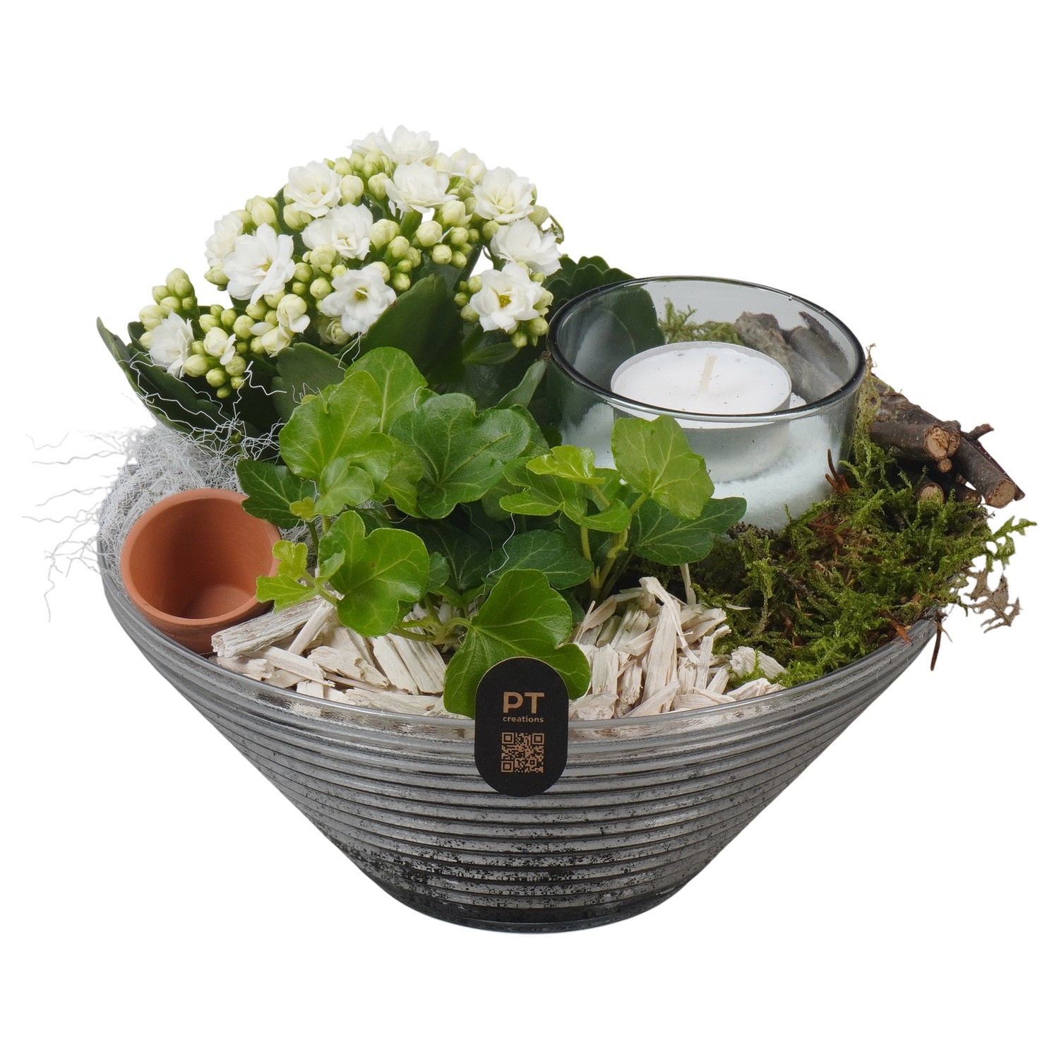 PTIG2655 Arrangement Indoor in glas schaal, D 19