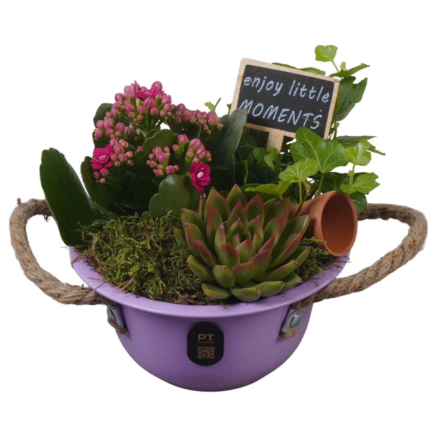 PTIB5321 Arrangement Indoor in metalen schaal, D 16