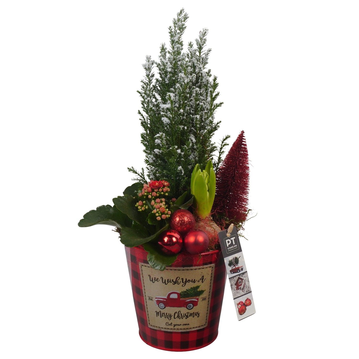 PTCHR7333 Arrangement Christmas Red in metaal pot, D 13 cm