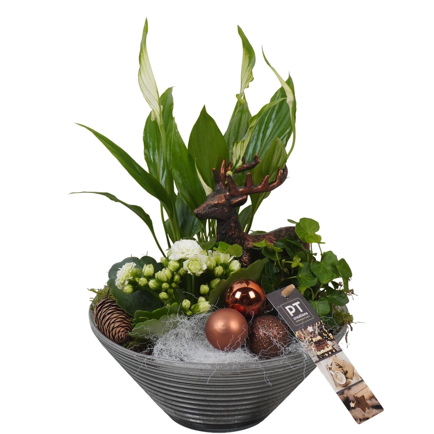 PTCHB9833 Arrangement Christmas Bronze in glas schaal, D 19 cm