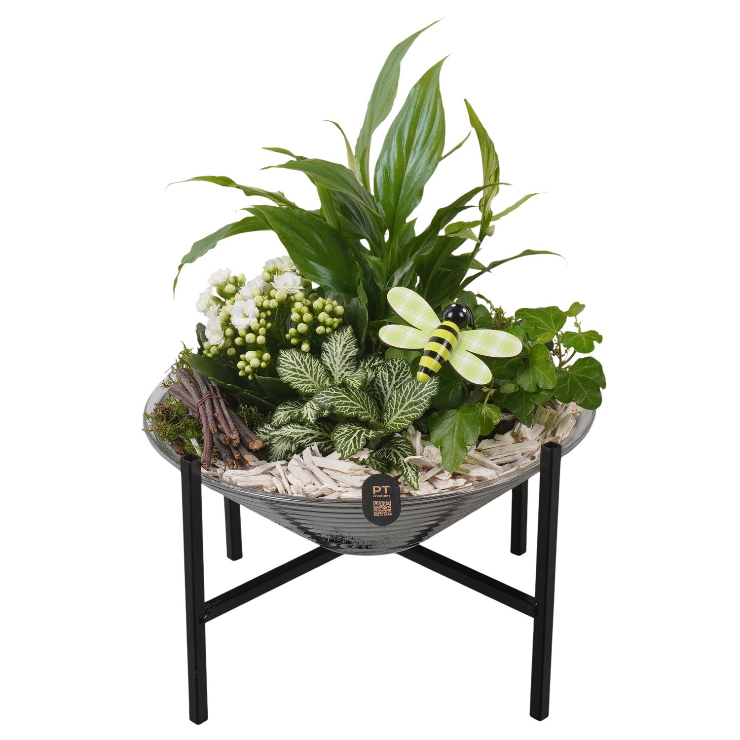 PTIG2670 Arrangement Indoor in glas schaal met standaard, D 26