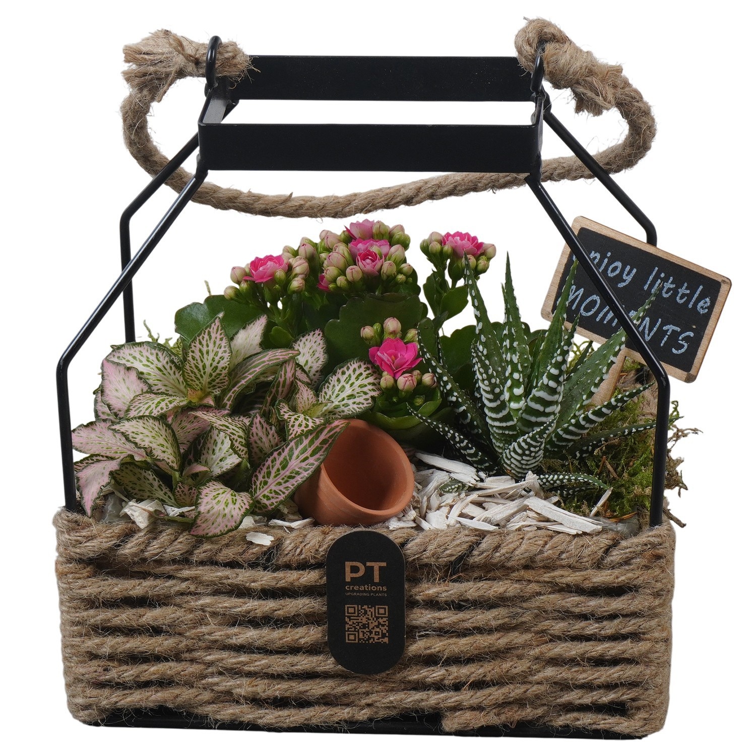 PTIB5270 Arrangement Indoor in touwmand met metaal, D 18